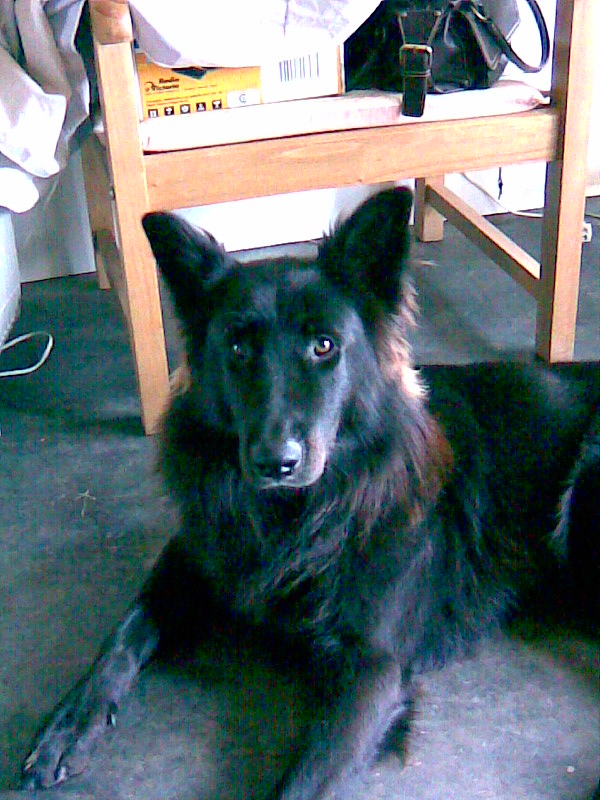 fotos/0000-00-00 - Infancia/Imagen005.jpg